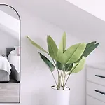 Nestup - Zentrales Mit Boxspringbetten, Smart-tv Und Ausgestatteter Kueche *